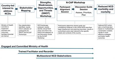 Addressing emerging public health threats: the Noncommunicable Disease Capacity Assessment and Planning (N-CAP) Process